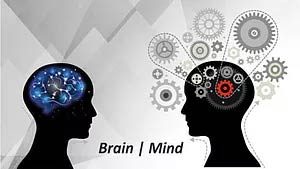brain and mind